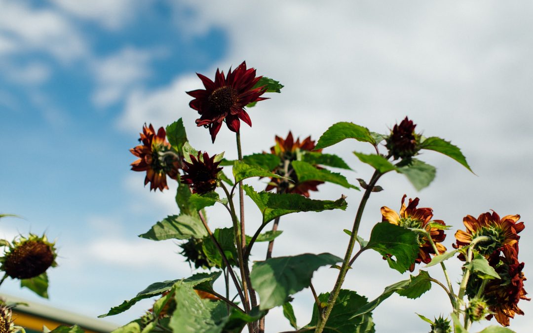 2022 Inspections Complete!