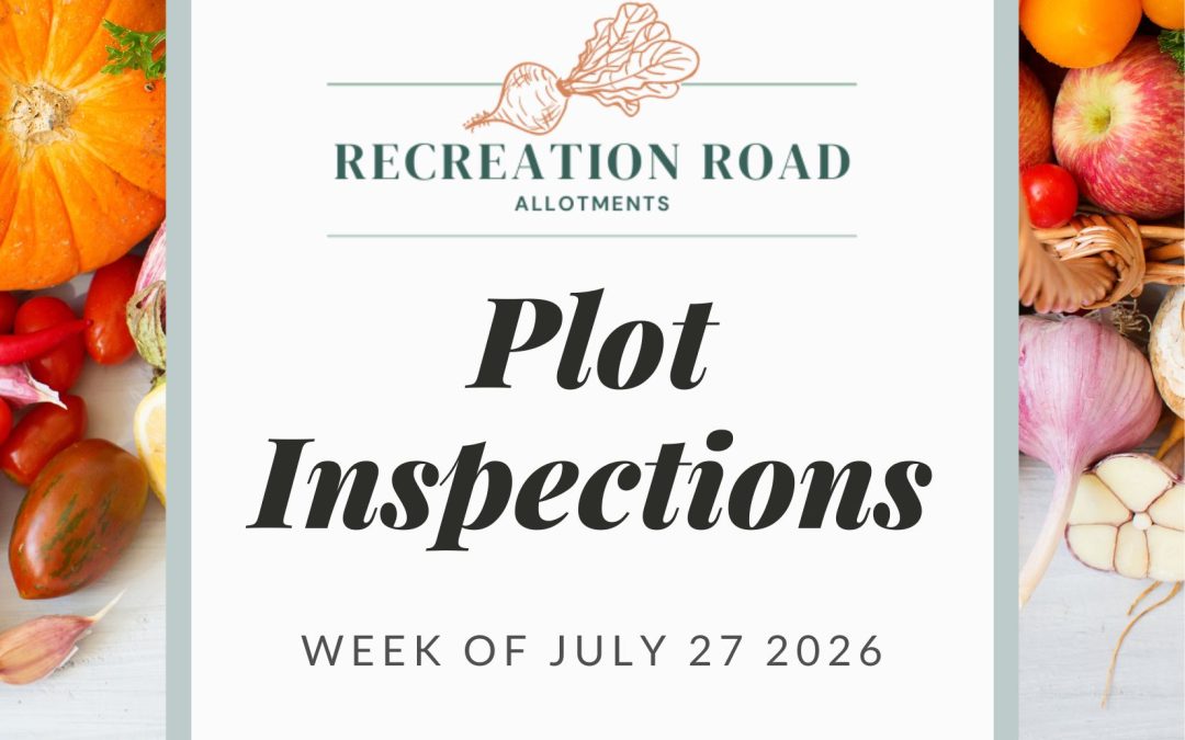 Plot Inspection 2026 FAQs
